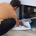 Okulda yılan paniği: Öğretmen tarafından yakalandı