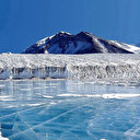 Un outil d’IA pour protéger les routes migratoires des caribous menacés dans l’Arctique