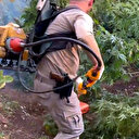 Diyarbakır'da 3 milyon 476 bin kök kenevir ve skunk ele geçirildi