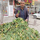 Ağrı'da baharın müjdecisi ışkın ve çiriş tezgahları süslüyor