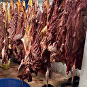 Kebabın başkenti Adana'da at ve eşek etleriyle ilgili skandallar devam ediyor: 2,5 ton at eti ele geçirildi