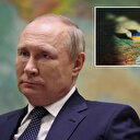 ABD'den dikkat çeken iddia: Putin'in Ukrayna'dan sonraki hedefini açıkladı