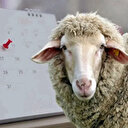 Kurban Bayramına kaç gün kaldı, hangi güne denk geliyor? Kurban Bayramı tatili kaç gün sürecek?