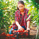 Genç çiftçiye SGK desteği