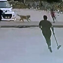 Sahipsiz köpeklerin saldırısına uğrayan çocukları esnaf kurtardı