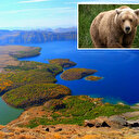 Valilikten Nemrut'a giden vatandaşlara 'bozayı' uyarısı