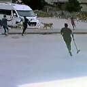 Adana haberleri: Sokak köpeklerinin saldırdığı çocuğu esnaf kurtardı