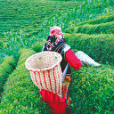 Bankalardan üreticiye 600 milyar lira finansman