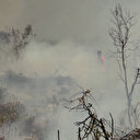Alanya'da makilik alandaki yangın ormana sıçramadan söndürüldü