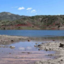 Kırklareli'nde gölette balık ölümleri inceleniyor