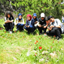 Sadece Manisa'da görülüyor: Yılda 1 kez ortaya çıkıyor, 10 gün ömrü var