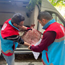 Sinop'ta kaçak avlanan yüzlerce kalkan balığı vatandaşa ücretsiz dağıtıldı