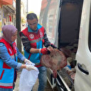 Türkeli'de kaçak avlanan 363 kalkan balığı vatandaşa dağıtıldı