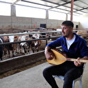 Ankara'da besici Batuhan Koyuncu hayvanları için saz çalıp türkü seslendiriyor