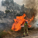 Muğla'da yangın: 2 hektar orman zarar gördü