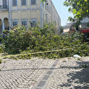 İzmir'de tarihi Kemeraltı Çarşısı girişindeki dev çınar devrildi: Türk filmlerinin gözdesiydi
