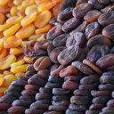 Malatya'dan yılın ilk 5 ayında 132 milyon dolarlık kuru kayısı ihraç edildi