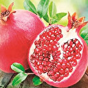 ABD ile ‘nar’ diplomasisi