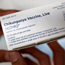 France / Dengue, chikungunya et Zika : forte hausse des cas importés, pas de transmission locale en métropole