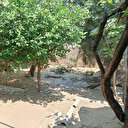 Adana'da içme suyu hattı patladı: Mahalle sular altında kaldı