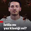 Kene istilası mı sosyal medya abartısı mı?