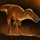 Une nouvelle espèce de dinosaure découverte en Mongolie rebat les cartes de l’origine du T-rex