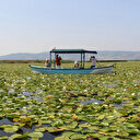 Geç keşfedilmiş hazine: 100 bin kişinin gelmesi bekleniyor