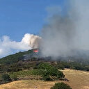 Tokat'ta ormanlık alanda yangın çıktı