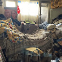 Aydın'daki çöp evden 4 kamyon çöpün yanı sıra 12 kedi ile 3 kaplumbağa çıktı