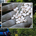 Durdurulan otobüste valiz içerisinde uyuşturucu hap ele geçirildi
