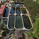 Soğuk suda kendi halinde büyüyor, yiyen herkes hayran kalıyor: Avrupa kapıda kuyruk oluyor