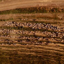 Nemrut Dağı eteklerinde zorlu yayla göçü: Gün batımında görsel şölen