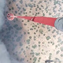 Balıkesir’de orman yangını: Ekiplerin müdahalesi sürüyor