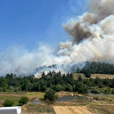 Bursa'da orman yangını