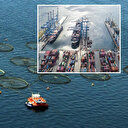 Doğu Karadeniz'in 5 aylık su ürünleri ihracatı 69,8 milyon doları aştı