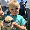 Isparta'da küçükbaş hayvan yetiştiricilerine çoban köpeği dağıtıldı