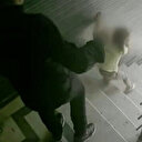 Küçük kızına dehşeti yaşattı: Tekme attığı çocuğu merdivenden yuvarlandı, gözaltına alındı