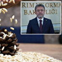 Aydın çam fıstığına AB'den coğrafi işaret tescili