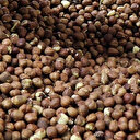 Türkiye'den fındık ihracatında yüzde 8,5'lik artış: Dokuz ayda 2 milyar doları aşkın gelir sağlandı