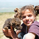 Yaylada ölmek üzere olan kurt yavrularını kurtardılar