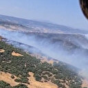 Manisa'nın Kula ilçesinde orman yangını çıktı