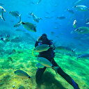 Fethiye'nin su altı dünyası dalış tutkunlarını ağırlıyor