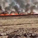 Diyarbakır’da biçilmemiş 30 dönüm buğday yangında kül oldu