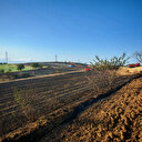 Tekirdağ'da buğday tarlası yandı: 200 dekar alan kül oldu