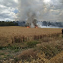 Bursa'da 30 dönümlük buğday tarlası küle döndü