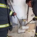 Doğalgaz kutusuna giren yılan doğal ortamına bırakıldı