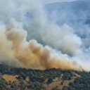 Aydın'da tarım alanında yangın: Söndürme çalışmaları sürüyor
