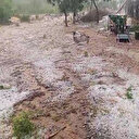 Tavşanlı’da sağanak yağmur ve dolu yağışı