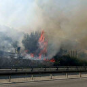 Söke'deki yangın kontrol altına alındı