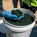 La RDC prolonge de trois mois la suspension des exportations de cobalt